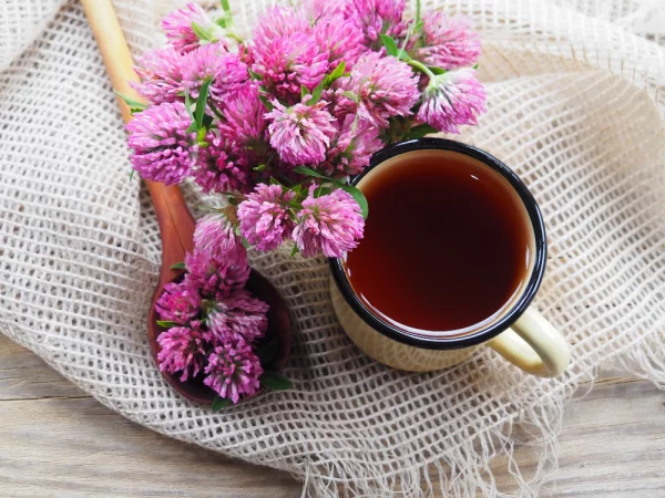 Clover Flower Tea